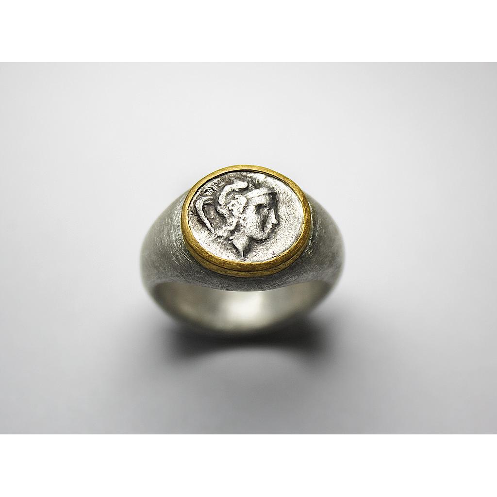 Ring 499 (VK 1.370,-€) - unser Angebot abzüglich 35% Aktion