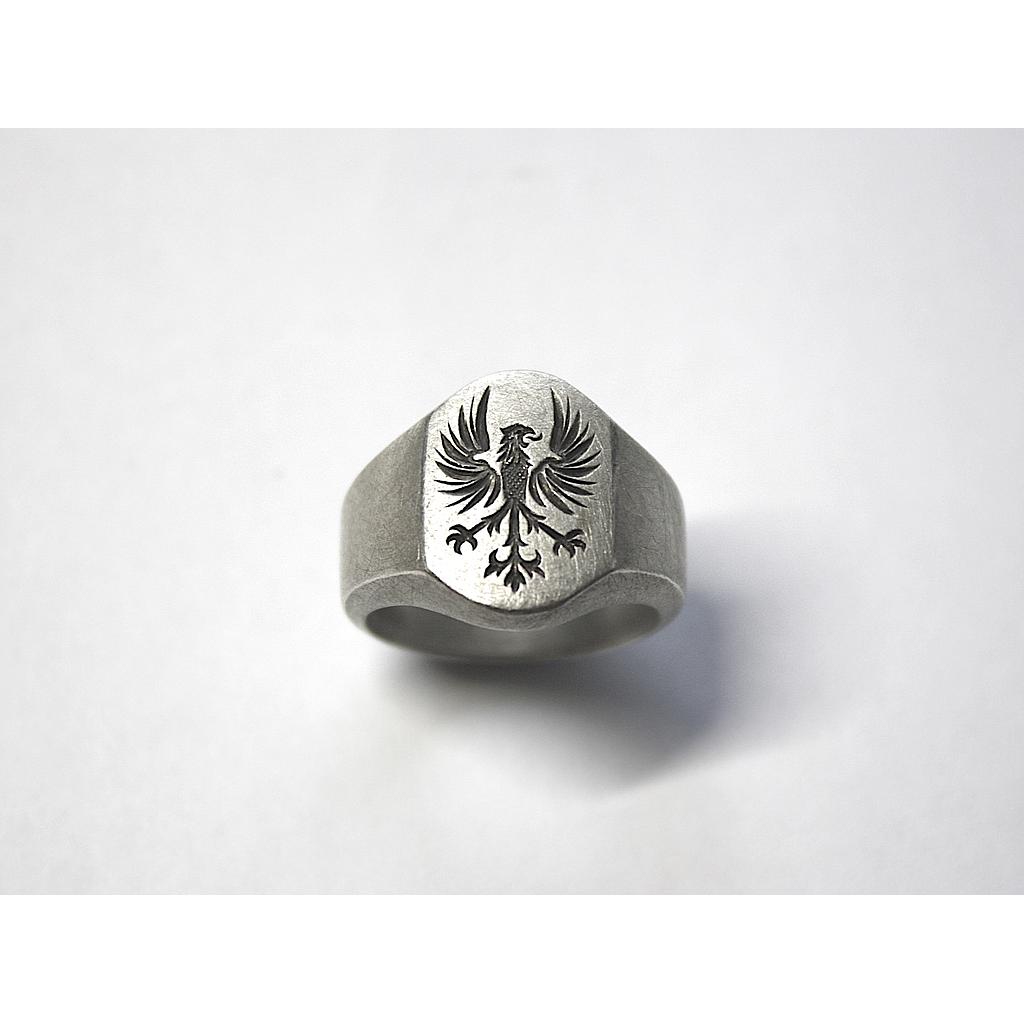 Ring 495