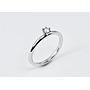 Ring 407