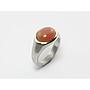 Ring 528